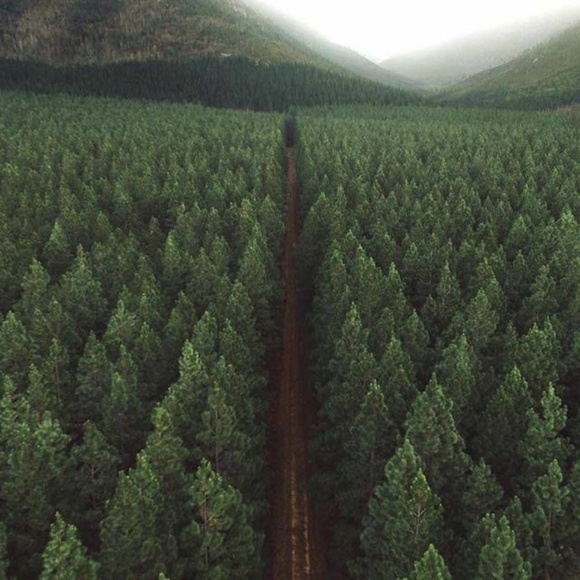 Meet your Posher, Rae - Picture 1 of 3